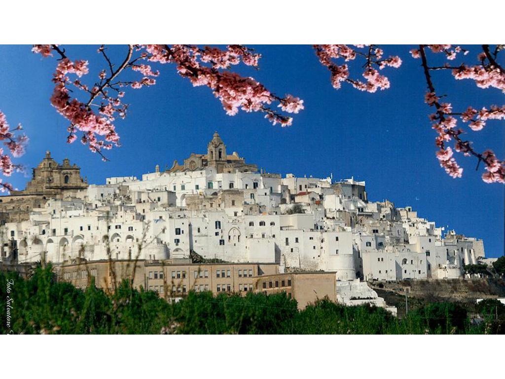 Casa Farella B&B In Suites Apartments Altamura X Matera Екстериор снимка